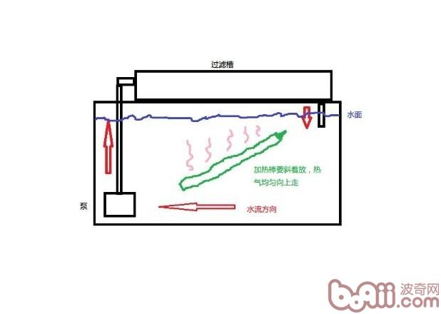 水族箱运用加热棒的注沉事项